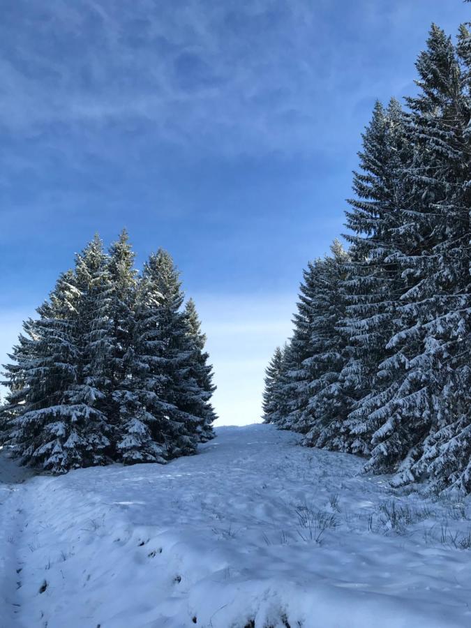 Kleine Ferienwohnung Am Rande Der Wildnis Sibratsgfäll Buitenkant foto