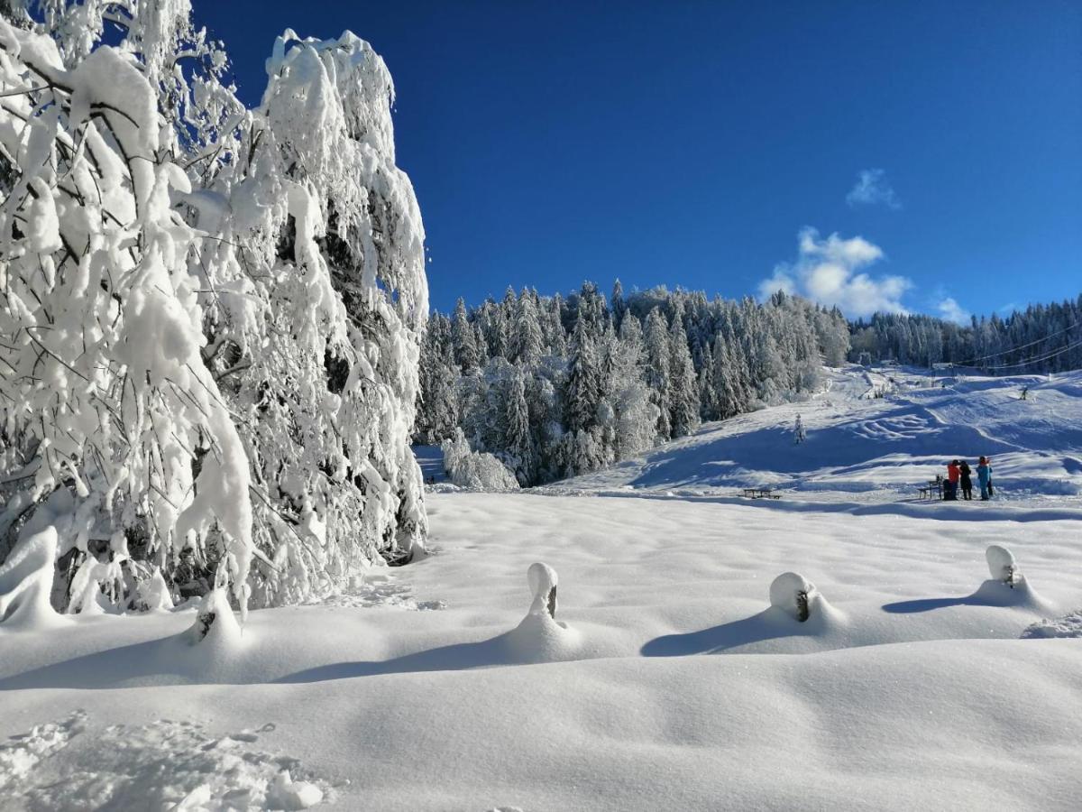 Kleine Ferienwohnung Am Rande Der Wildnis Sibratsgfäll Buitenkant foto