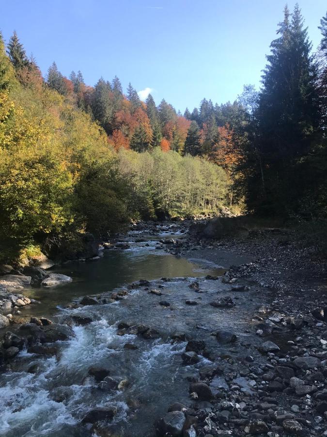 Kleine Ferienwohnung Am Rande Der Wildnis Sibratsgfäll Buitenkant foto